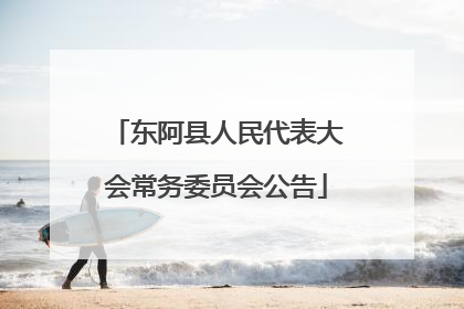 东阿县人民代表大会常务委员会公告